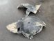 Б/У Подкрылок передний правый часть Задняя 51717180618 / 51717180622 51717180618 / 51717180622 фото 4